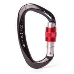 Lock climbing safety buckle